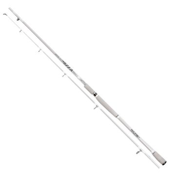 Nomura NM21209030 Kanji 300cm Shore Jig Kamış 40-80gr Atar