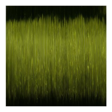 SPRO Ctec Predator 0,40M 12,2Kg 250M Yeşil Misina 1/1